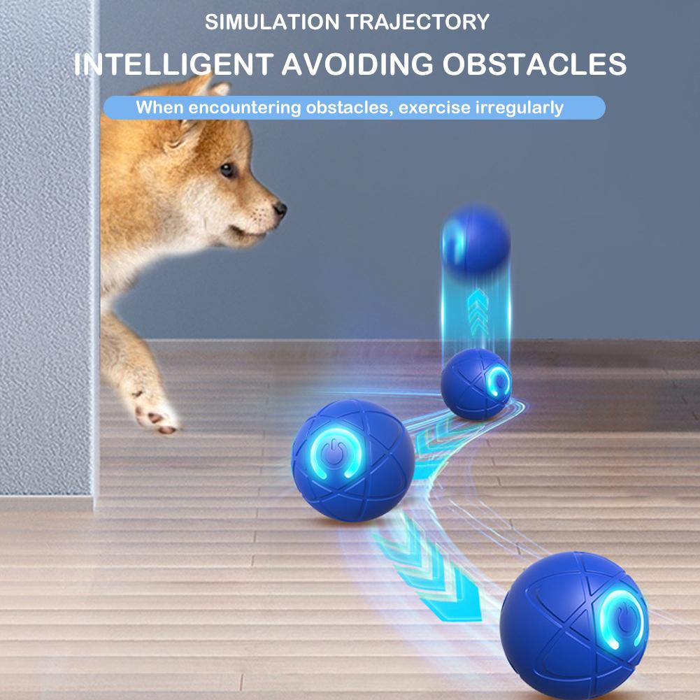 Mainan Hewan Peliharaan Intera - Automatic Moving Dog Ball ulasan dan harga