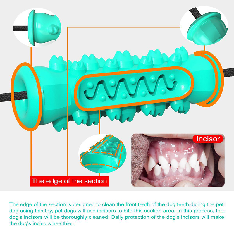 Mainan Tali Gigit Anjing denga - Suction Cup Dog Tug Toy ulasan dan harga