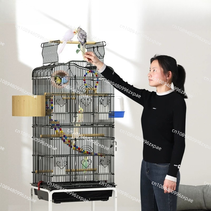 Kandang Burung, Tempat Makan B - Pet Feeders ulasan dan harga