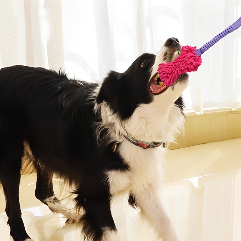 Mainan Anjing Tahan Lama untuk - Suction Cup Dog Tug Toy ulasan dan harga