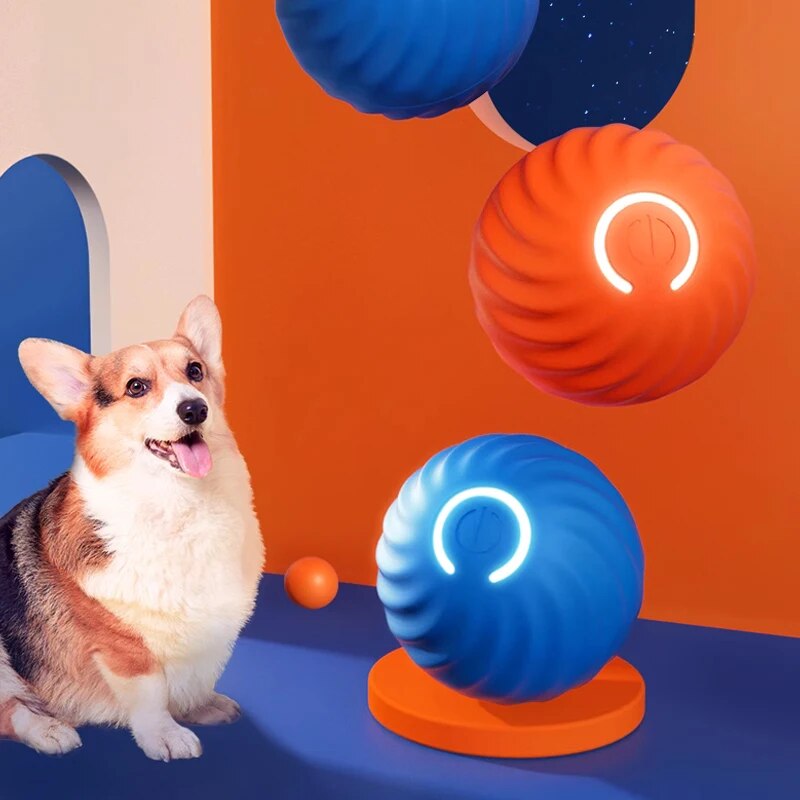 Mainan anjing bola lompat grav - Suction Cup Dog Tug Toy ulasan dan harga