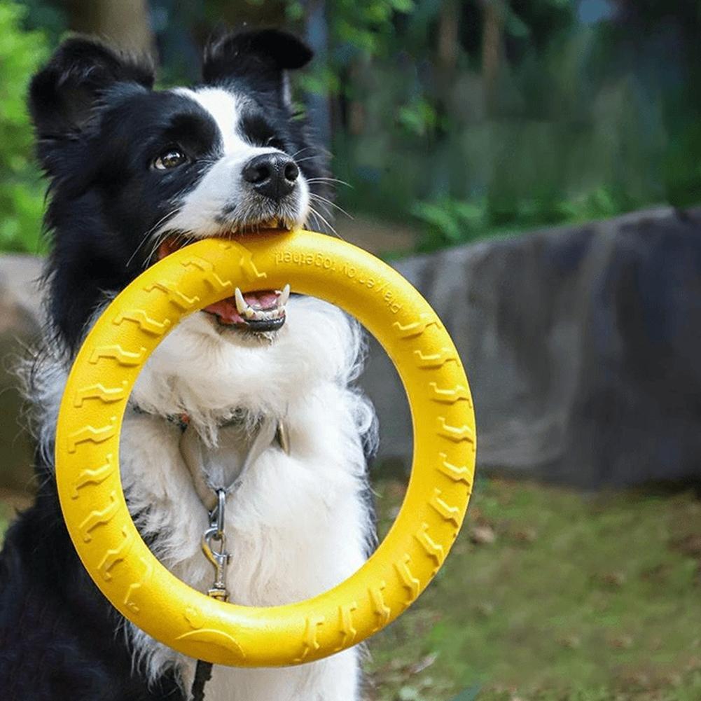 Mainan Cincin Anjing yang Taha - Suction Cup Dog Tug Toy ulasan dan harga