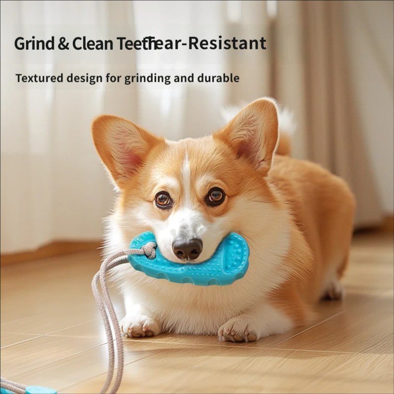 Mainan Tarik Anjing dengan Suc - Suction Cup Dog Tug Toy ulasan dan harga