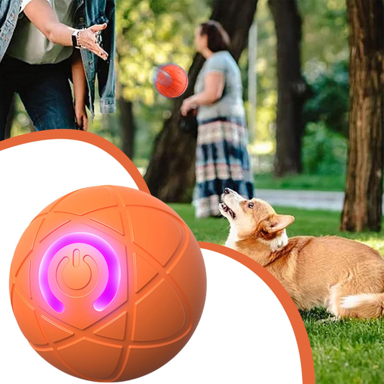 Bola Mainan Anjing Interaktif, - Automatic Moving Dog Ball ulasan dan harga