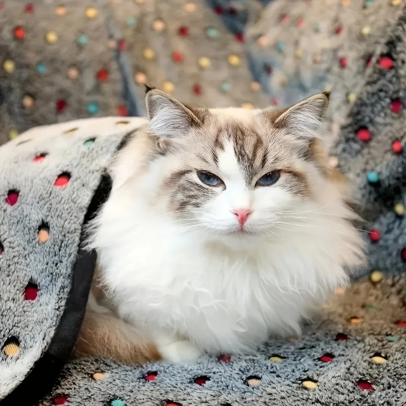 3 Buah Selimut Hewan Peliharaa - Pet Beds ulasan dan harga