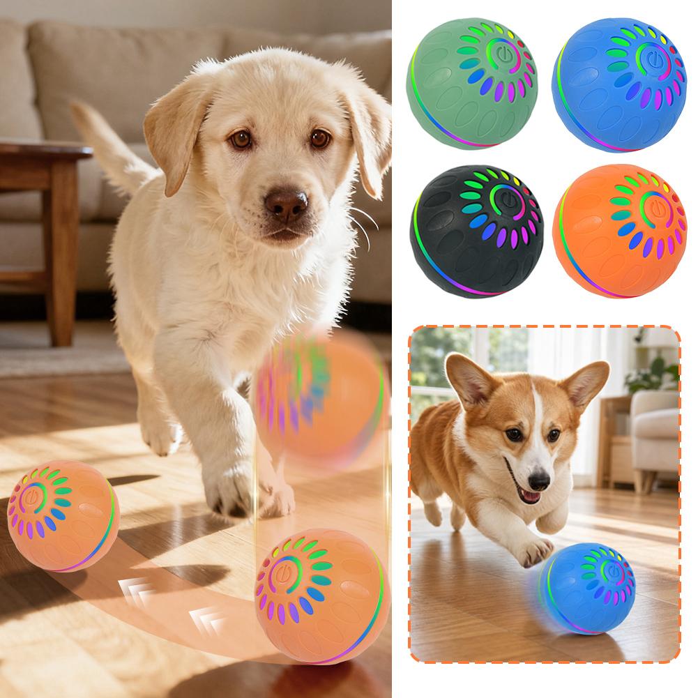 Bola Anjing Pintar Otomatis Be - Automatic Moving Dog Ball ulasan dan harga