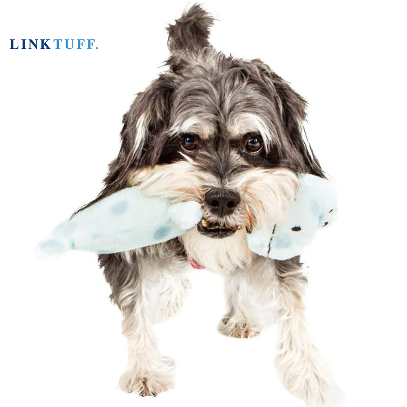 Linktuff Mainan Pelatihan Mele - Suction Cup Dog Tug Toy ulasan dan harga