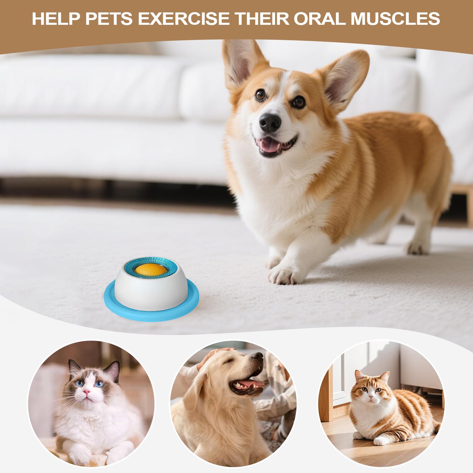 Mainan Camilan Anjing Aksesori - Dog Puzzle Feeder Toy ulasan dan harga