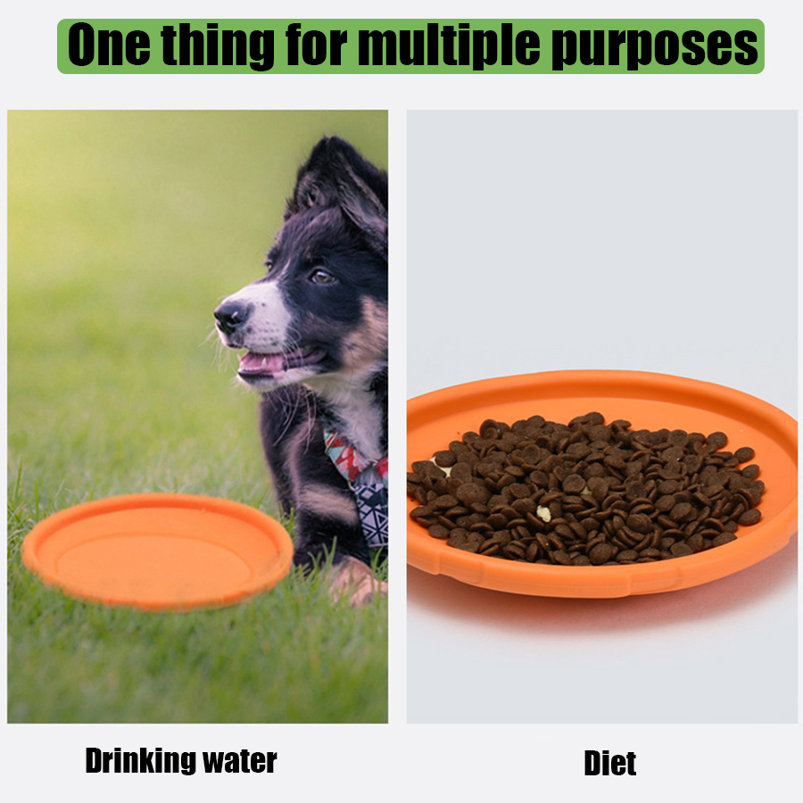 Mainan Cakram Terbang Anjing B - Flying Disc Dog Training Toy ulasan dan harga