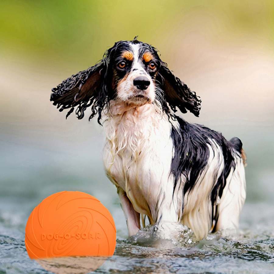 Mainan Cakram Terbang Anjing B - Flying Disc Dog Training Toy ulasan dan harga