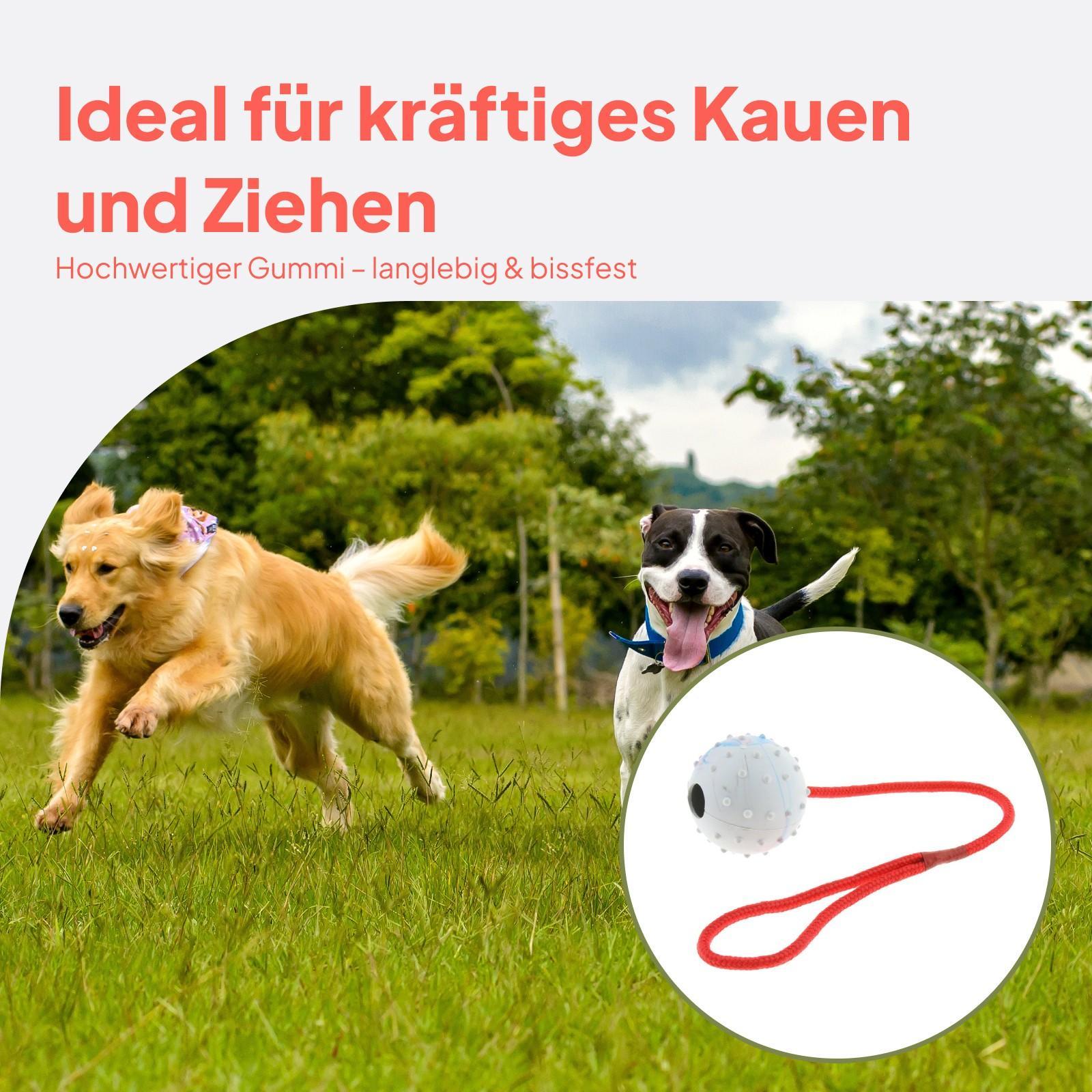 Mainan Pelatihan Hewan Pelihar - Rubber Treat Dispensing Dog Toy ulasan dan harga